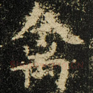 禽