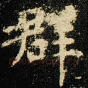 群