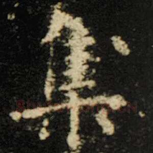集