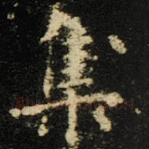 集