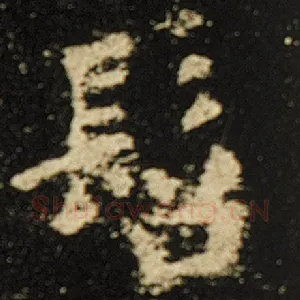 髫