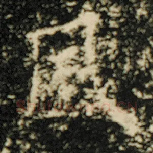 风