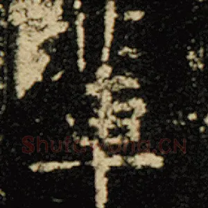 辈