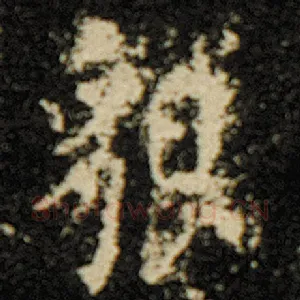 貌