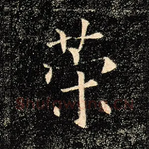 策