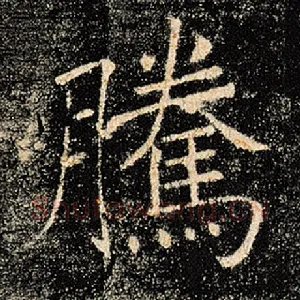 腾