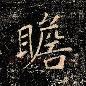 瞻