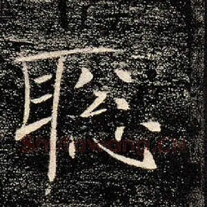 聪
