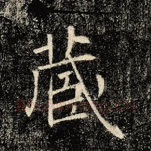 藏