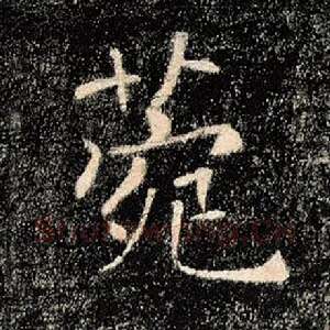 菀