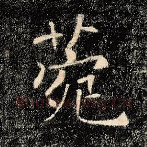 菀
