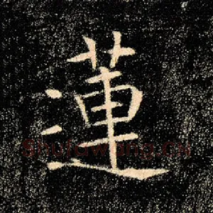 莲