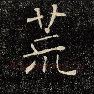 荒