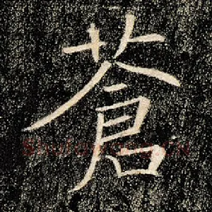 苍