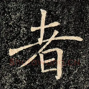 者