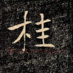 桂