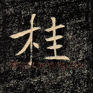 桂