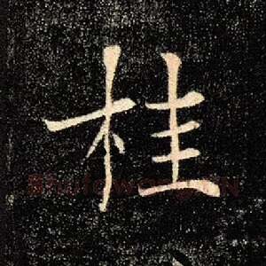 桂