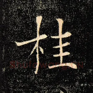 桂
