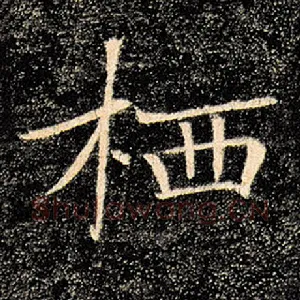 栖