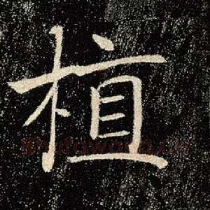 植