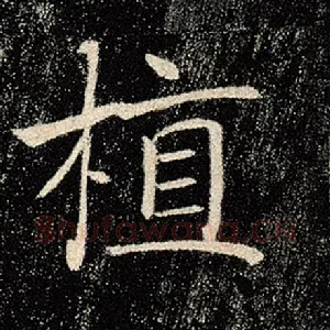 植
