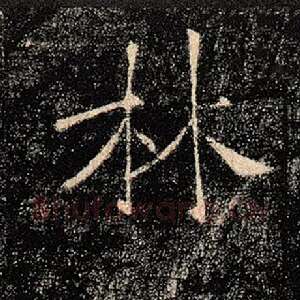 林