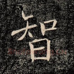 智