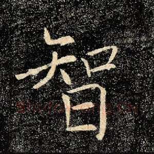 智