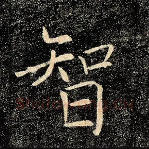 智
