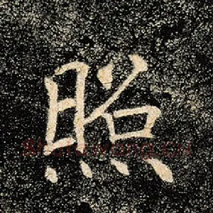 照