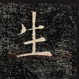 生