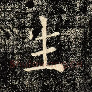 生
