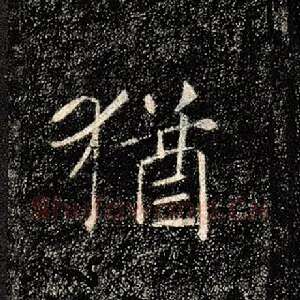 犹