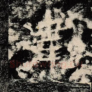 泽