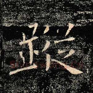 踪
