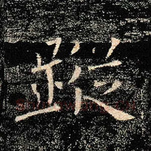 踪