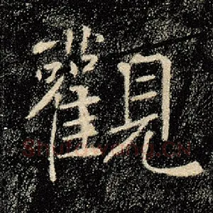 观