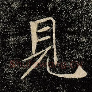 见