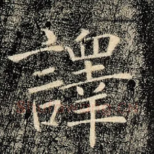 译