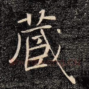 藏