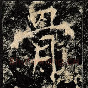 骨