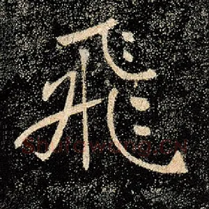 飞