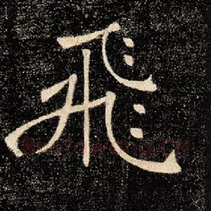 飞