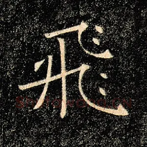 飞