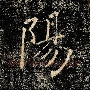阳