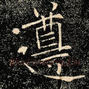 遵