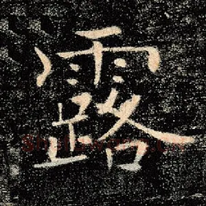 露