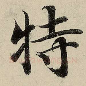 特