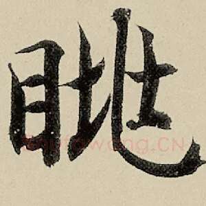 眺